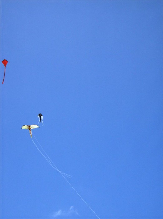 2008 KiteFestival-017.jpg